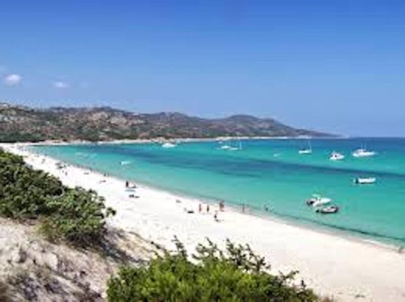 From Nice: Saint-Tropez and Port Grimaud Tour - What Travelers Say