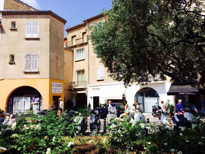 From Nice: Saint-Tropez and Port Grimaud Tour - Who Should Consider This Tour?