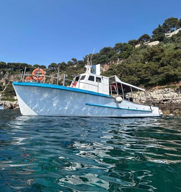 From Nice: Villefranche Bay Swimming & Snorkeling Boat Tour - Key Points