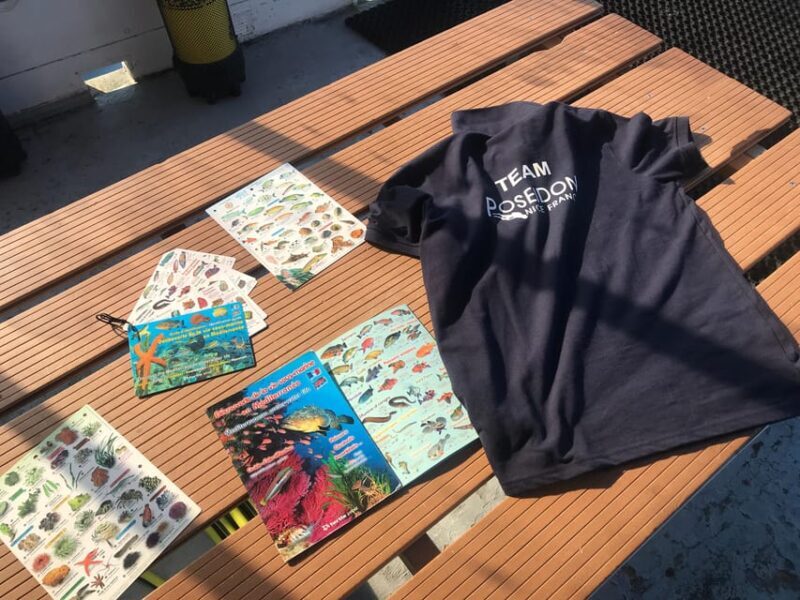 From Nice: Villefranche Bay Swimming & Snorkeling Boat Tour - Who Will Love This Tour?