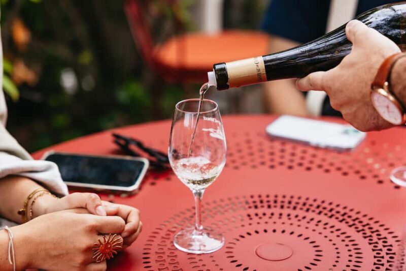 From Nice: Wine Tasting, Cannes, and Countryside Tour - An In-Depth Look at the Tour Experience