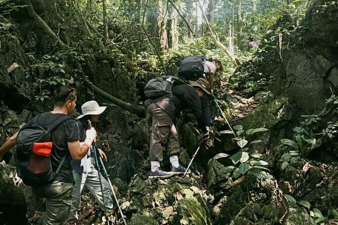 From Ninh Binh: Cuc Phuong National Park Trekking Day Tour - Final Thoughts