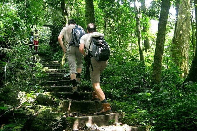 From Ninh Binh Private Tour to Hoa Lu, Trang An and Mua Cave - Who Will Love This Tour?
