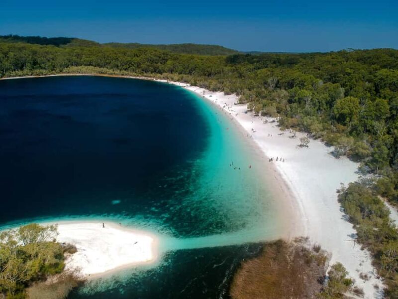 From Noosa: K'gari (Fraser Island) Small-Group Tour - The Bottom Line
