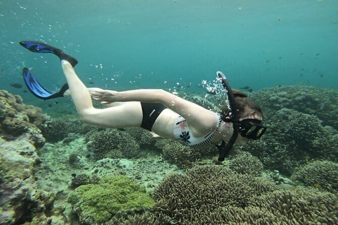 From Nusa Lembongan Manta Snorkeling Trips with Pickup Included - FAQs