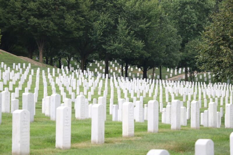 From NYC: Guided Day Trip to Washington DC by Van or Bus - An In-Depth Look at the Tour Experience