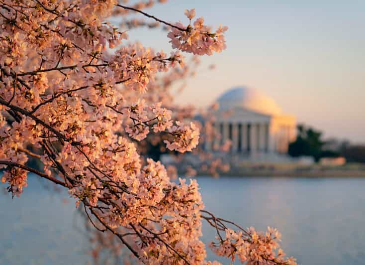From NYC: Niagara Falls, Washington DC and Boston 4-Day Trip - Key Points