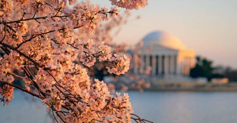 From NYC: Niagara Falls, Washington DC and Boston 4-Day Trip - Final Thoughts