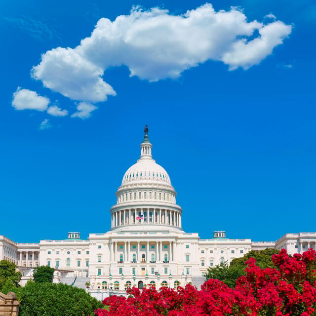From NYC: Private Washington & Philadelphia Tour in 1 Day - Washington D.C.: The Seat of Power and Memory