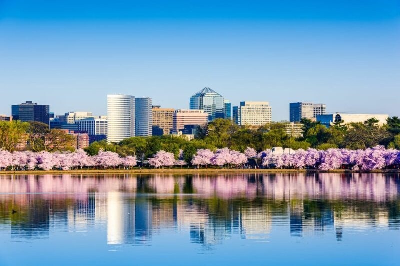 From NYC: Private Washington & Philadelphia Tour in 1 Day - The Return Journey: Reflections and Rest
