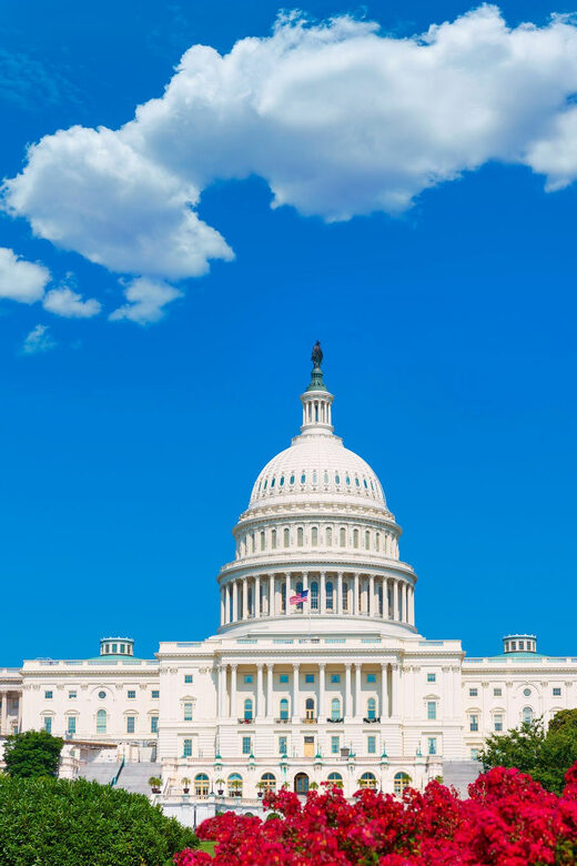 From NYC: Private Washington & Philadelphia Tour in 1 Day - Who Is This Tour Best For?