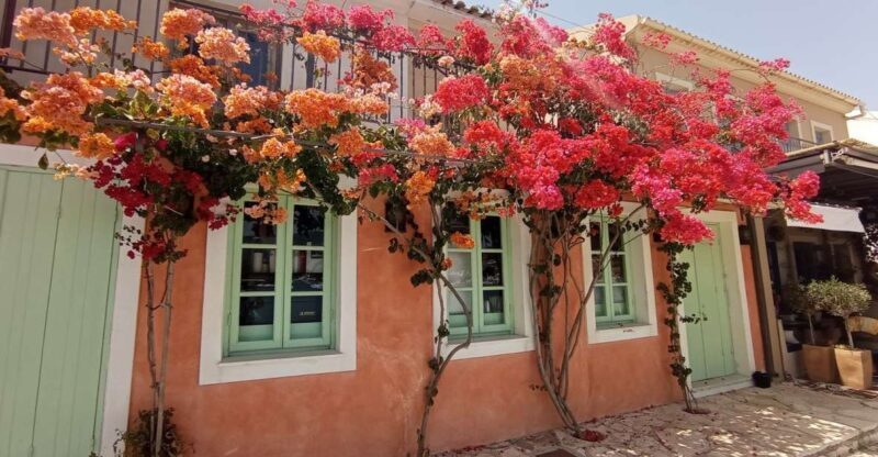 From Nydri: Boat to Kefalonia and Ithaki with Swim Stops - FAQ