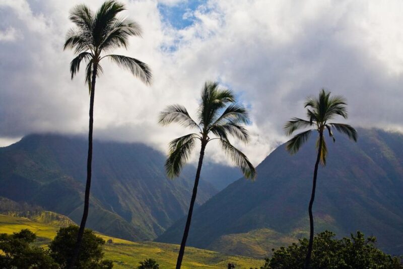 From Oahu: Best of Maui/Haleakala - Sips, Sites & Bites - The Sum Up