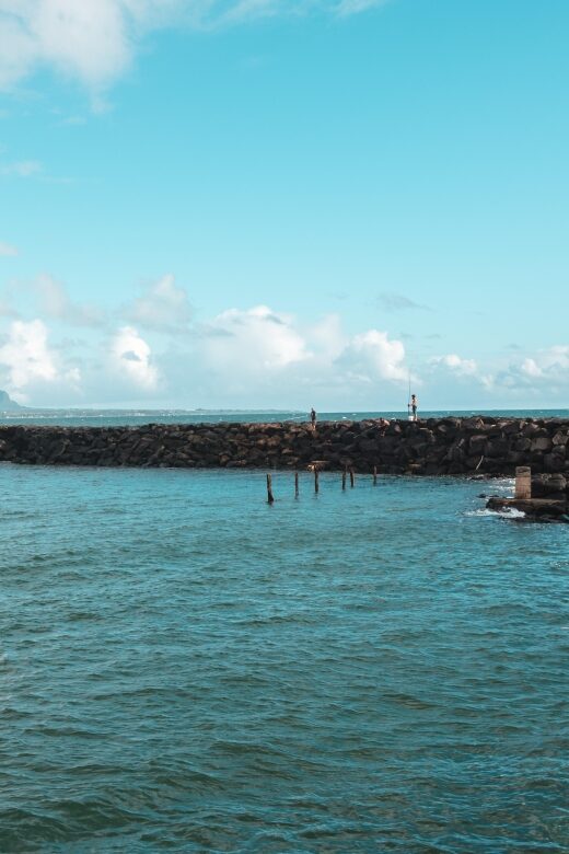 From Oahu: Kauai Highlights & Movie Sites - Who Should Consider This Tour?