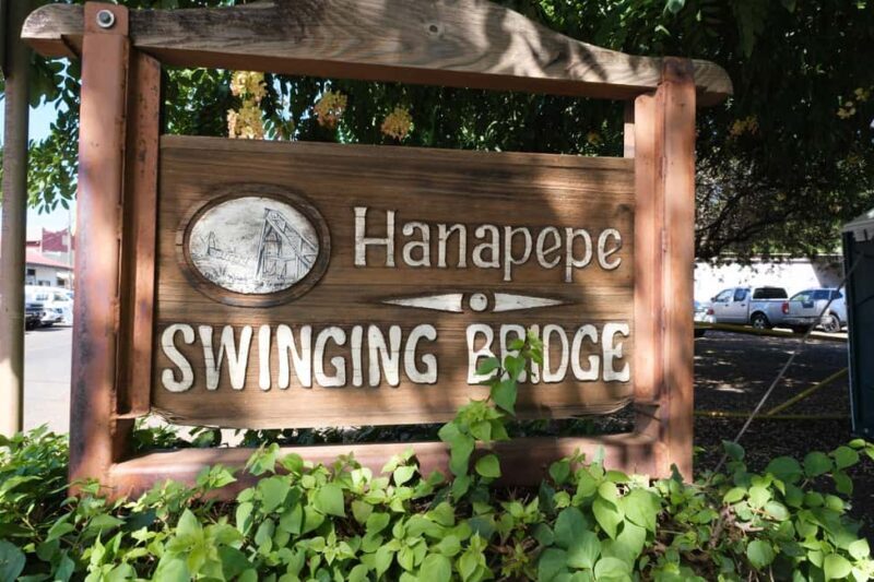 From Oahu: Kauai Waimea Canyon and Koke'e Adventure Tour - An In-Depth Look at the Kauai Day Trip