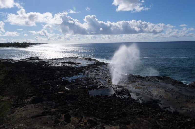 From Oahu: Kauai Waimea Canyon and Koke'e Adventure Tour - Practical Details and Tips