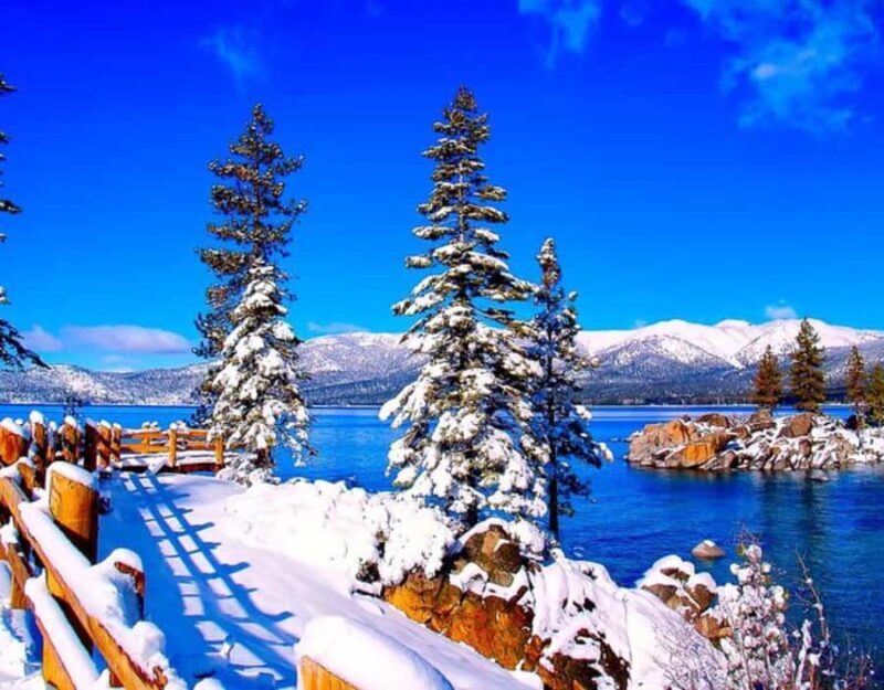 From Oakland: Full Day Lake Tahoe Tour - Is the Price Worth It?