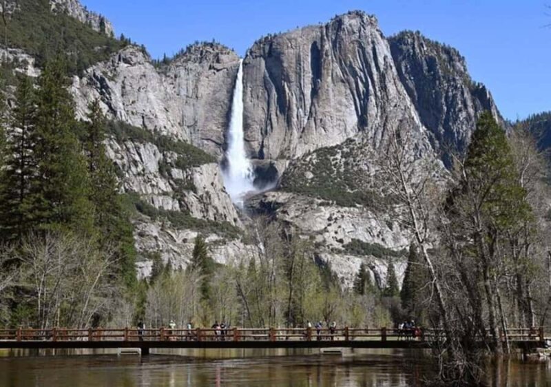 From Oakland: Full Day Yosemite National Park Tour - What Reviewers Say