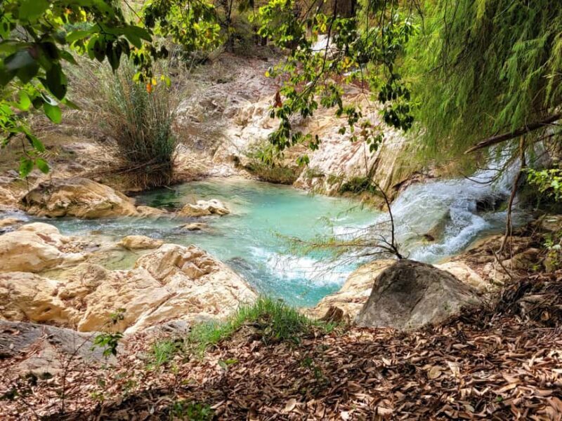 From Oaxaca: Apoala Magic Waterfalls Hike & Swim Adventure - Who Is This Tour Best For?