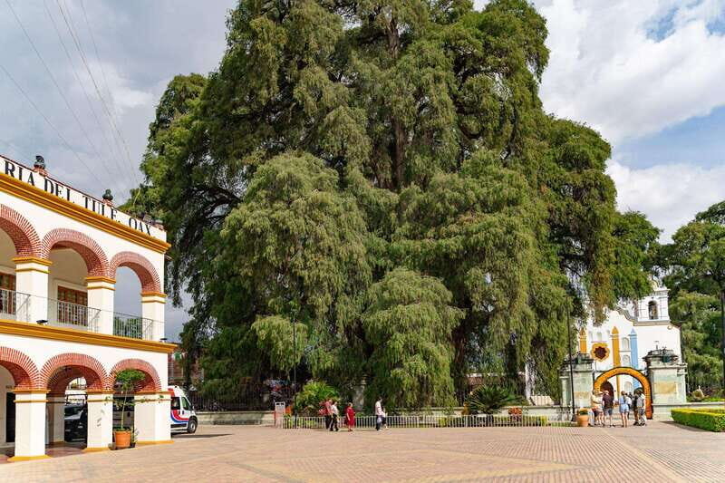 From Oaxaca: City, Mitla, and Mezcal Factory Tour - Key Points