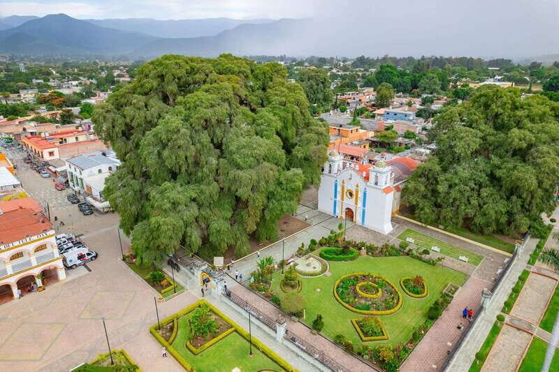 From Oaxaca: City, Mitla, and Mezcal Factory Tour - The Itinerary: What to Expect