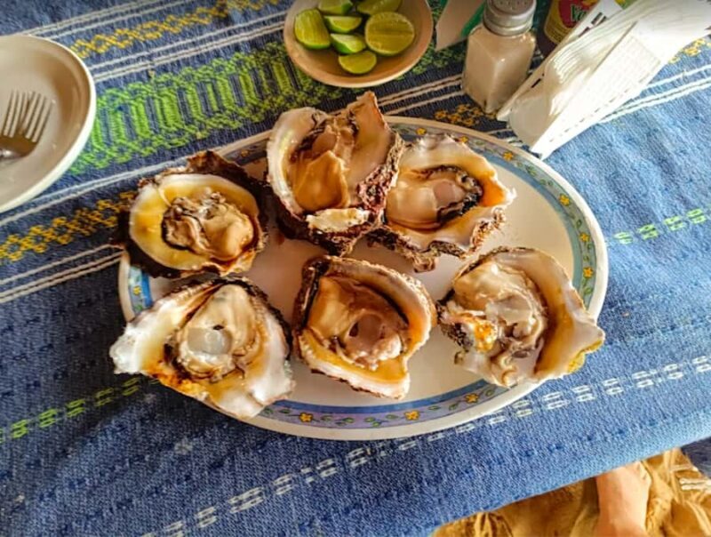 From Oaxaca City: Puerto Escondido Freediving Experience - Key Points