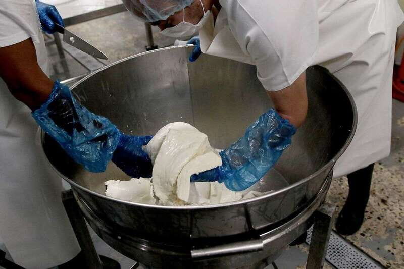 From Oaxaca: San Agustín Etla Quesillo and Papermaking Tour - Authentic Experiences and Authenticity: What Travelers Say