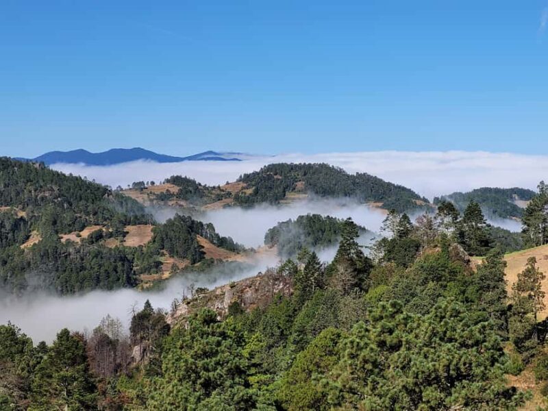 From Oaxaca: Sierra Norte Hike & Indigenous Village Full-Day - Detailed Itinerary Breakdown