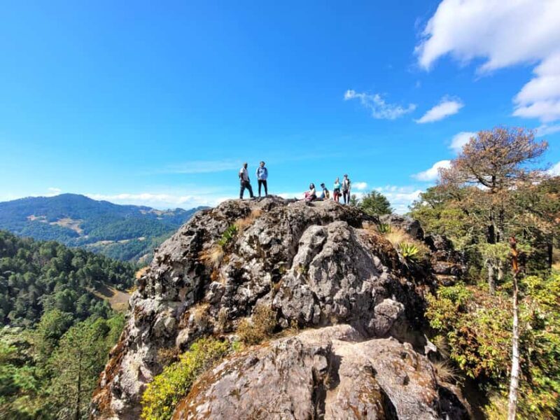 From Oaxaca: Sierra Norte Hike & Indigenous Village Full-Day - Authentic Experiences and Traveler Feedback
