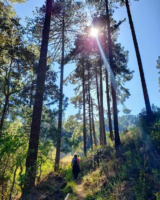 From Oaxaca: Sierra Norte Hike & Indigenous Village Full-Day - Practical Tips for Participants