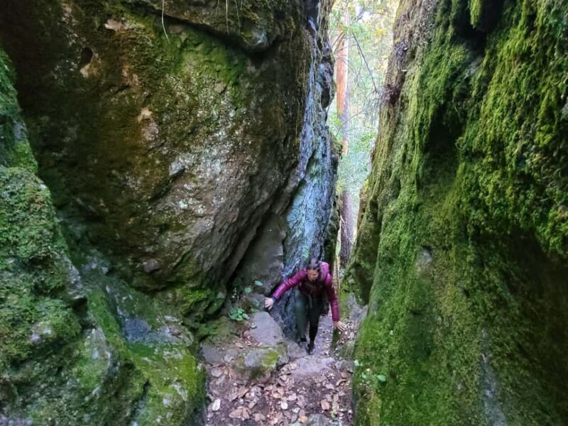 From Oaxaca: Sierra Norte Hike & Indigenous Village Full-Day - Who Will Love This Tour?