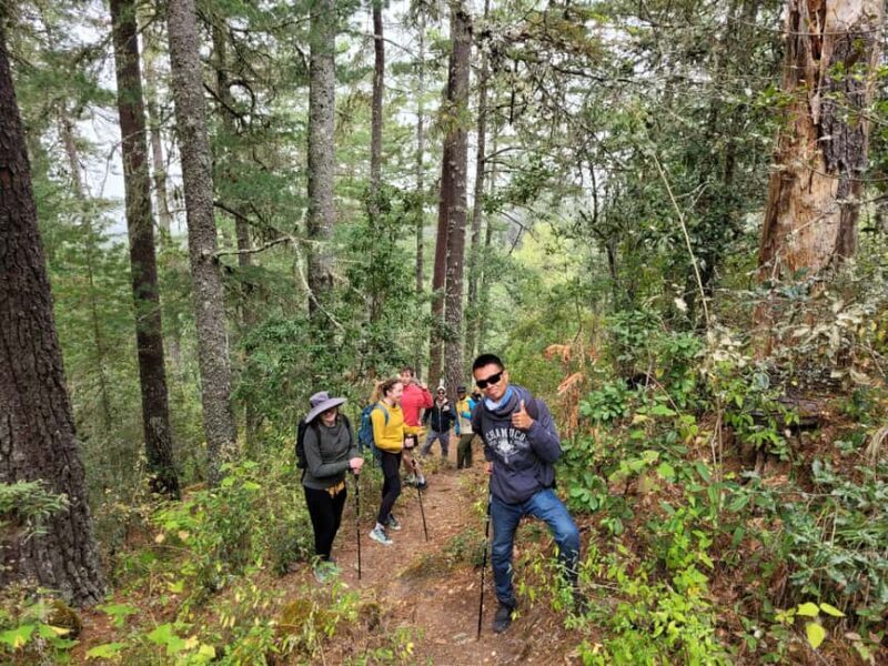 From Oaxaca: Sierra Norte Hike & Indigenous Village Full-Day - FAQ