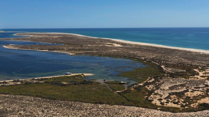 From Olhão: Ria Formosa 3-Island Full-Day Tour - Key Points