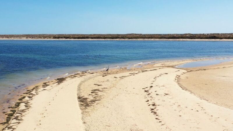From Olhão: Ria Formosa 3-Island Full-Day Tour with Sunset - FAQ