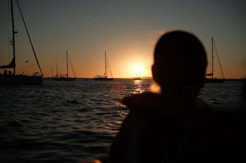 From Olhão: Ria Formosa Sunset Island Boat Tour - Real Experiences and Insights from Travelers
