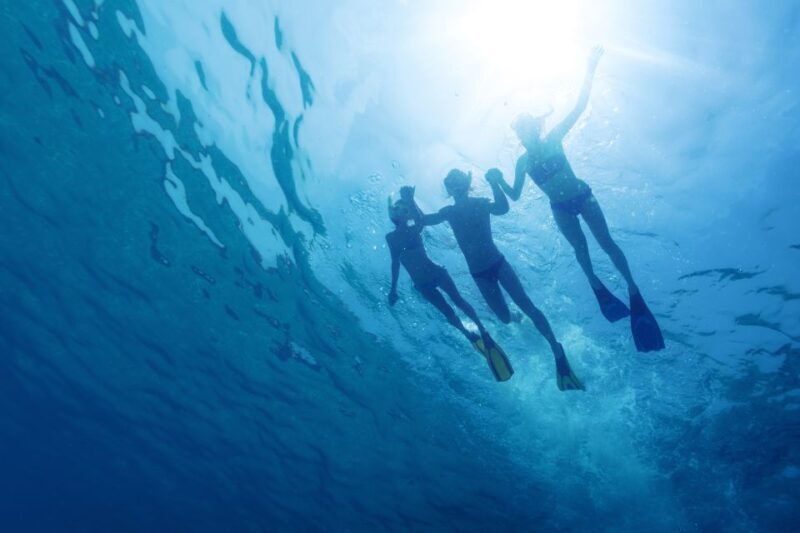 From Omis: Blue Cave & 5 Island Speedboat Tour - Who Will Love This Tour