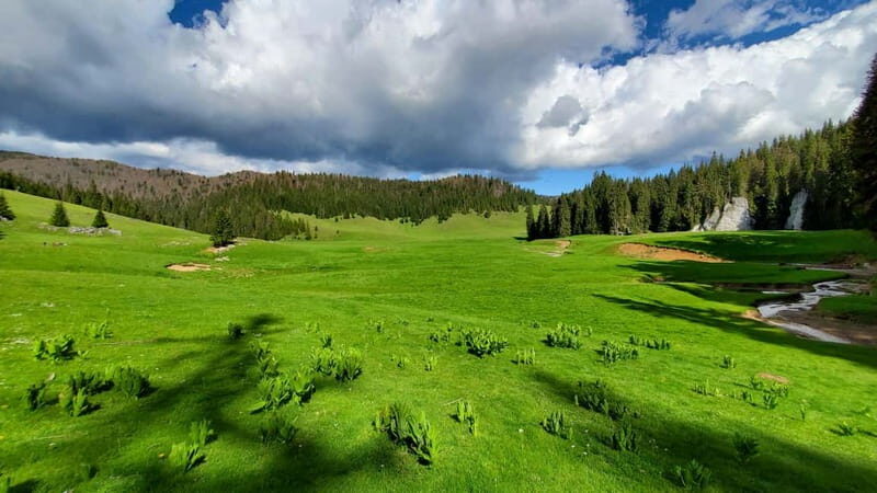 From Oradea: Apuseni Mountains Guided Hiking Tour - Key Points