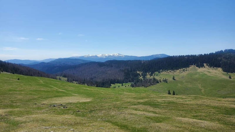 From Oradea: Apuseni Mountains Guided Hiking Tour - Who Would Enjoy This Experience?