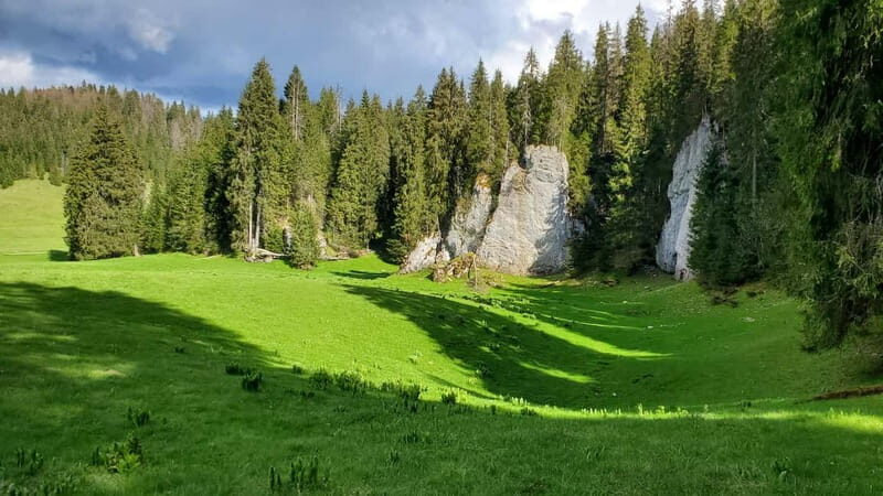 From Oradea: Apuseni Mountains Guided Hiking Tour - FAQ