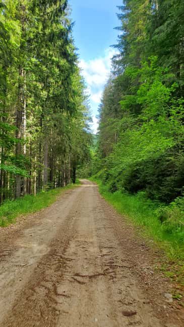 From Oradea: Mountain Bike around Lake Dragan - Highlights of the Ride
