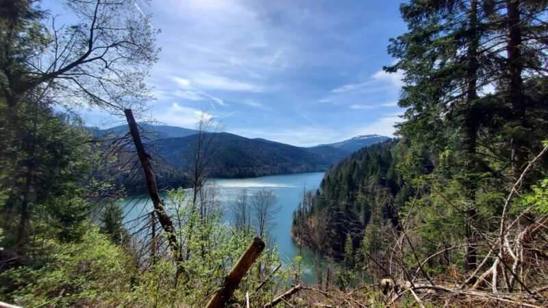 From Oradea: Mountain Bike around Lake Dragan - Practical Details and What to Bring