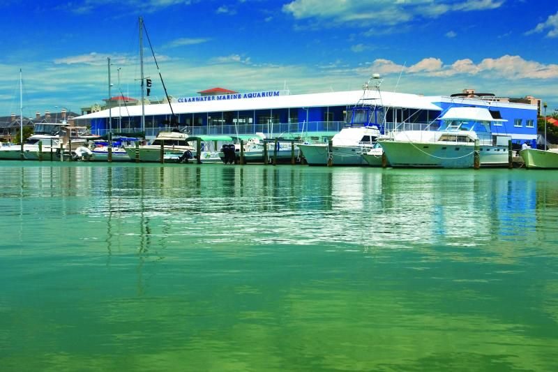 From Orlando: Clearwater Beach and Marine Aquarium Admission - An In-Depth Look at What This Tour Offers