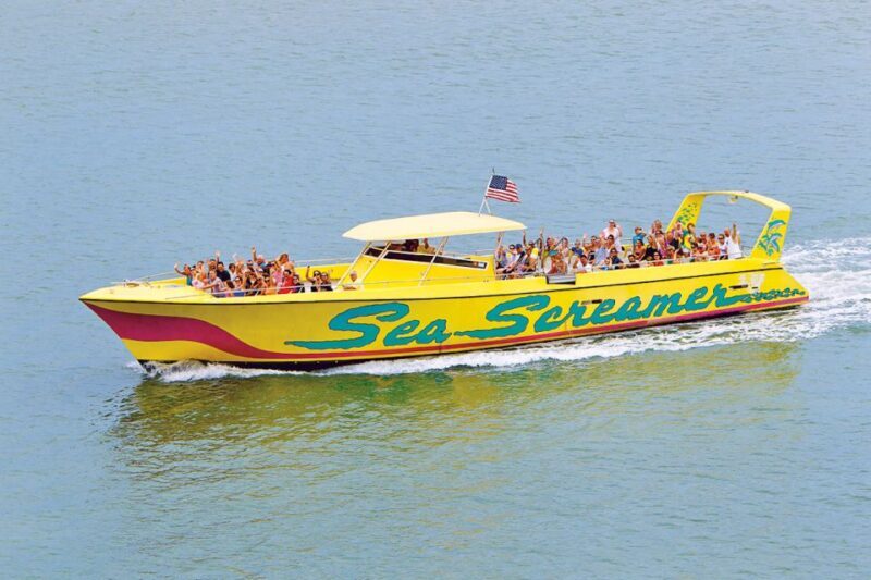 From Orlando: Day Trip to Clearwater Beach with Options - Deep Dive into Each Activity Option