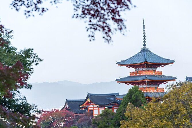 From Osaka: 10-hour Private Customizable Tour to Kyoto - Authentic Experiences and Traveler Insights
