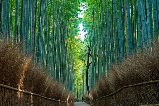 From Osaka/Kyoto: Kyoto & Nara Day Trip with Lunch - An Authentic and Well-Structured Day Trip