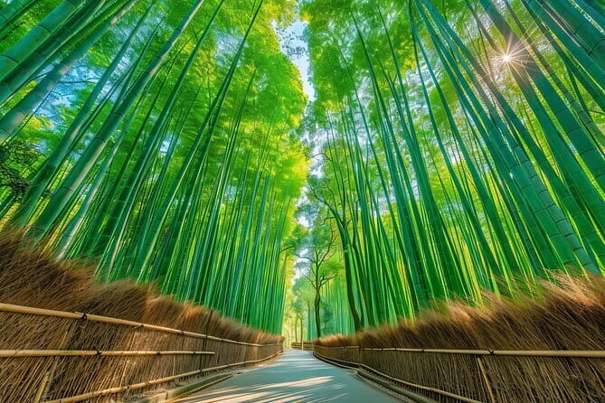 From Osaka: Kyoto Must-see Spots & Nara Park Sightseeing Day Tour - Key Points