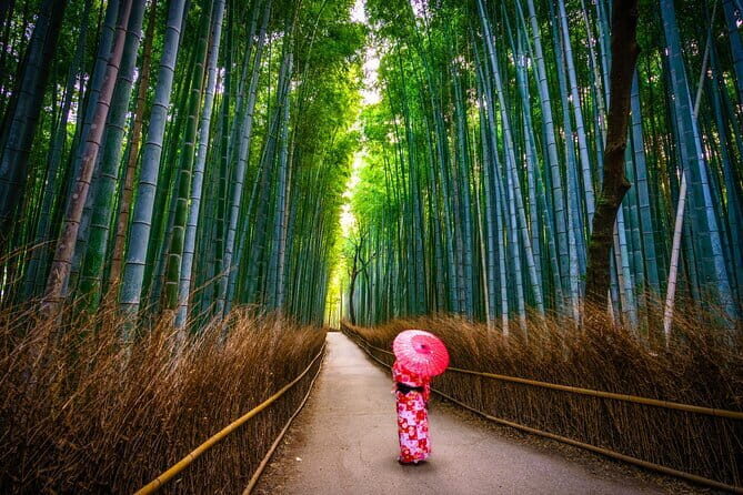 From Osaka: Kyoto Must-see Spots & Nara Park Sightseeing Day Tour - Who Should Book This Tour?