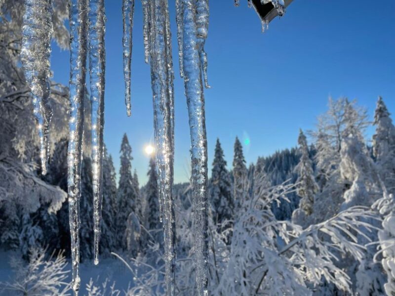 From Oslo: Oslomarka Forest Guided Snowshoeing Tour - Who Should Consider This Tour?