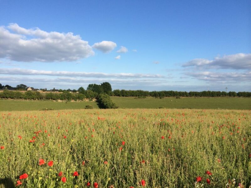 From Oxford: Cotswolds Towns and Villages Small Group Tour - FAQ