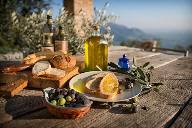 From Padua: Olive Oil & Wine in the Euganean Hills - The Itinerary: What You Can Expect